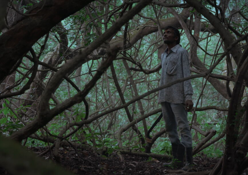 A person stands in the middle of tree branches.