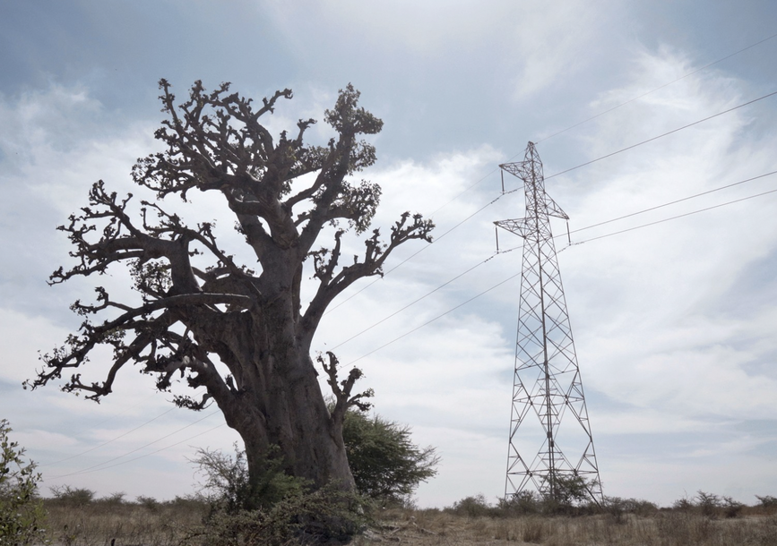 A tree in front of a telephone tower.